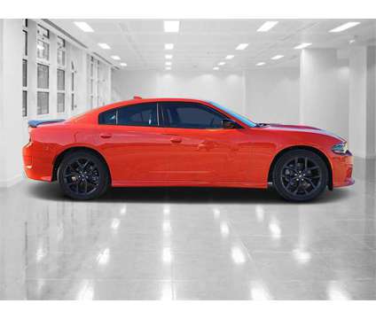 2023 Dodge Charger GT is a Gold 2023 Dodge Charger GT Car for Sale in Orlando FL