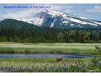 Alaska Land 2.67 Acres walk to Copper River