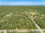 Plot For Sale In Saint Marks, Florida