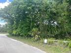 Plot For Sale In De Leon Springs, Florida