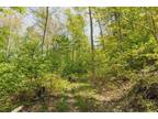 Plot For Sale In Arbovale, West Virginia