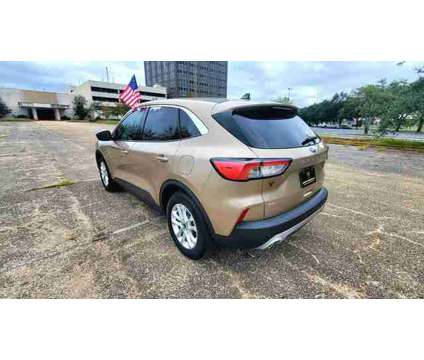2020 Ford Escape for sale is a Gold 2020 Ford Escape Car for Sale in Mobile AL