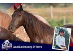 Adopt Terra a Mustang