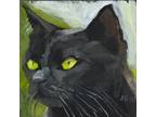 Black Cat original oil painting 5x5in contemporary art feline portrait signed