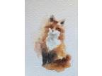 ACEO Original Watercolor Painting Of A Fox