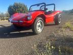 cheap dune buggy on ebay street legal ship anywhere