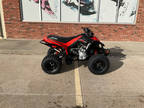 2024 Can-Am DS 250