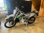 2024 Kawasaki KLX 300