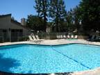 2 Beds, 2 Baths Spring Tree Apartments - Apartments in Chino, CA