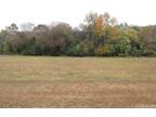 Lot 37 S Riverview Lane, Mountain View, AR 72560 602428110