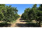Porterville, Tulare County, CA Farms and Ranches, Homesites for sale Property