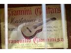 Acoustic Gianni Guitar