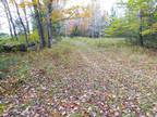 Ripley, Somerset County, ME Undeveloped Land for sale Property ID: 418056408