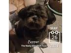 Pepper