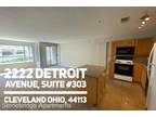 2 Bedroom 2 Bath In Cleveland OH 44113