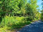 Fleischmanns, Greene County, NY Undeveloped Land, Homesites for sale Property