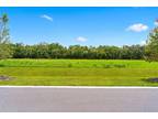 Plot For Sale In Dover, Florida