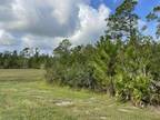 GREEN POND RD, POLK CITY, FL 33868 Land For Sale MLS# O6151138