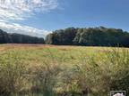 2661 SHOAL CREEK RD, Monroe, GA 30656 Land For Sale MLS# 7292079