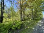 Saint Albans, Somerset County, ME Undeveloped Land for sale Property ID:
