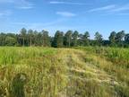 Sylvania, Screven County, GA Undeveloped Land, Homesites for sale Property ID: