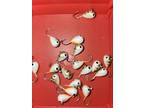 Tungsten Ice Fishing Jigs 6mm - Pick Color