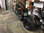 2024 Honda Ruckus