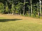 TBD PINE STREET, Weber City, VA 24290 Land For Sale MLS# 9957767