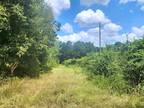Poplarville, Pearl River County, MS Undeveloped Land for sale Property ID: