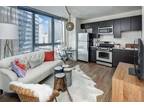 BRIGHT 1 Bedroom Convertible w Amazing Views 358 E Wacker Dr