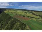 Papaaloa, Hawaii County, HI Farms and Ranches, Undeveloped Land