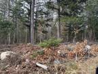 Palmyra, Somerset County, ME Undeveloped Land for sale Property ID: 415284842