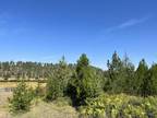 Bovill, Latah County, ID Undeveloped Land for sale Property ID: 417157647