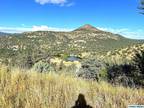 Silver City, Grant County, NM for sale Property ID: 412725598