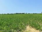 Stockbridge, Ingham County, MI Undeveloped Land for sale Property ID: 417196927