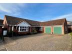 4 bedroom detached bungalow for sale in Little Green, Elmswell, Bury St.