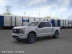 2023 Ford F-150 Gray