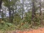 0.27 Acres for Rent in Williford, AR
