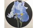 Realism Iris flower Art Broadway Original 8 in. across Canvas Panel painting