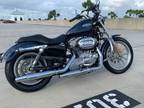 2008 Harley-Davidson Sportster 883 Low - Dania Beach,Florida