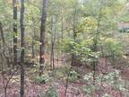 0.14 Acres for Rent in Williford, AR