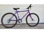 Collectible CLASSIC SCHWINN PARAMOUNT Waterford