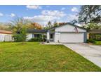 2417 Blind Pond Dr, Lutz, FL 33549