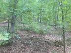 0.19 Acres for Rent in Williford, AR