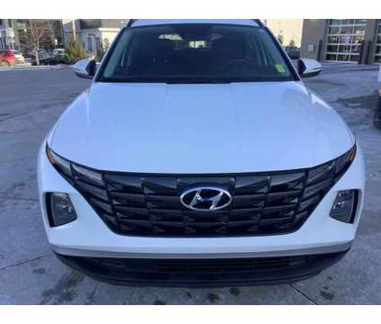 2023 Hyundai Tucson SEL is a White 2023 Hyundai Tucson SUV in Avon IN