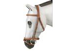 Marchog English Event Bridle