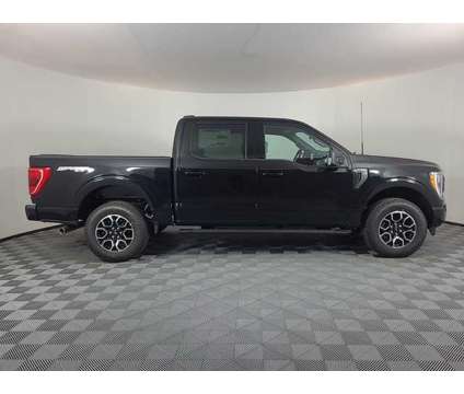 2023 Ford F-150 XLT is a Black 2023 Ford F-150 XLT Car for Sale in Brighton CO