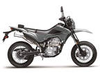 2024 Kawasaki KLX 300SM