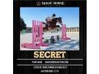 Secret~Stunning*Gentle*Fun*Event/Family/Trail Paint Mare~