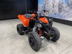 2024 Can-Am DS 250 ATV for Sale